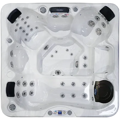 Avalon EC-849L hot tubs for sale in Hampton