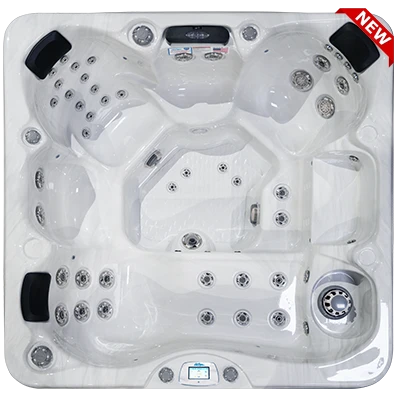 Avalon-X EC-849LX hot tubs for sale in Hampton