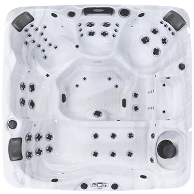 Avalon EC-867L hot tubs for sale in Hampton